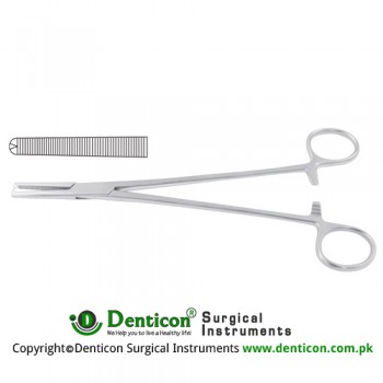 Phaneuf Hysterectomy Forcep Straight - 1 x 2 Teeth Stainless Steel, 20.5 cm - 8"